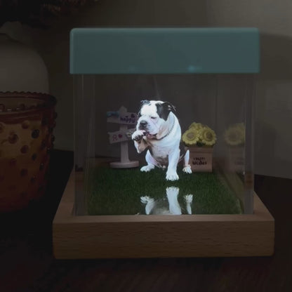 Eternal Tribute - Memorial Hologram Box